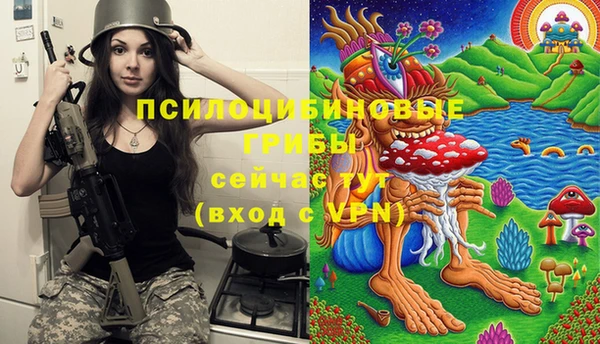 соль курить ск Медвежьегорск