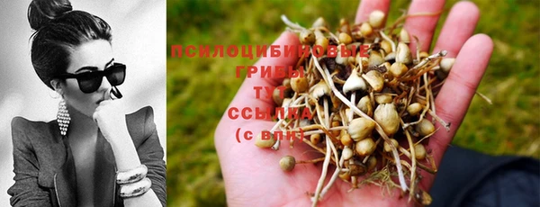 таблы Бежецк