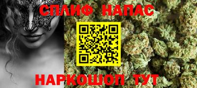 спиды Камышлов