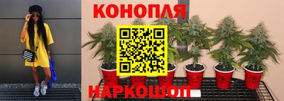 спайс Кандалакша