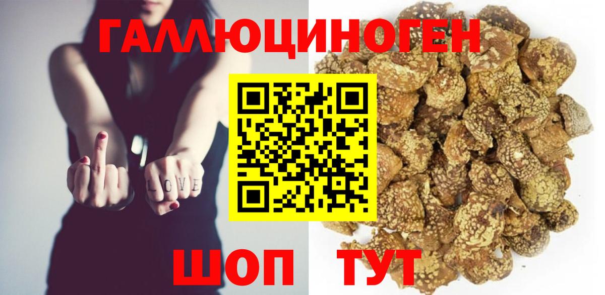 Псилоцибиновые грибы мицелий  Вход с VPN  Псилоцибиновые грибы Psilocybine cubensis  Нижнеудинск 