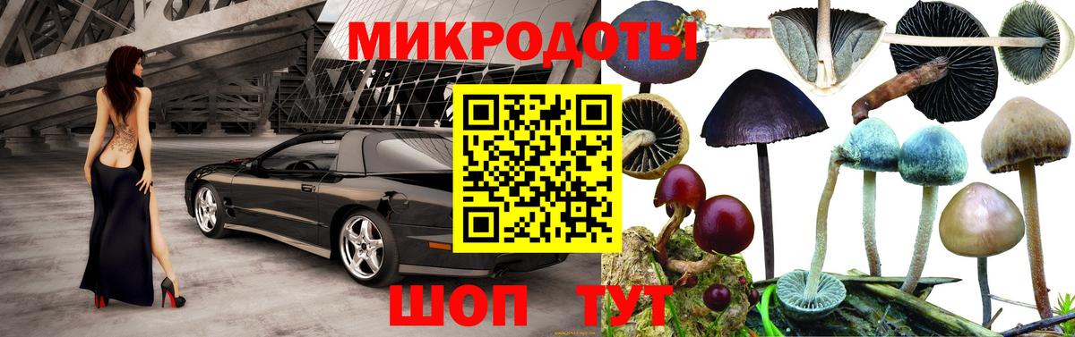 Галлюциногенные грибы мухоморы Нижнеудинск